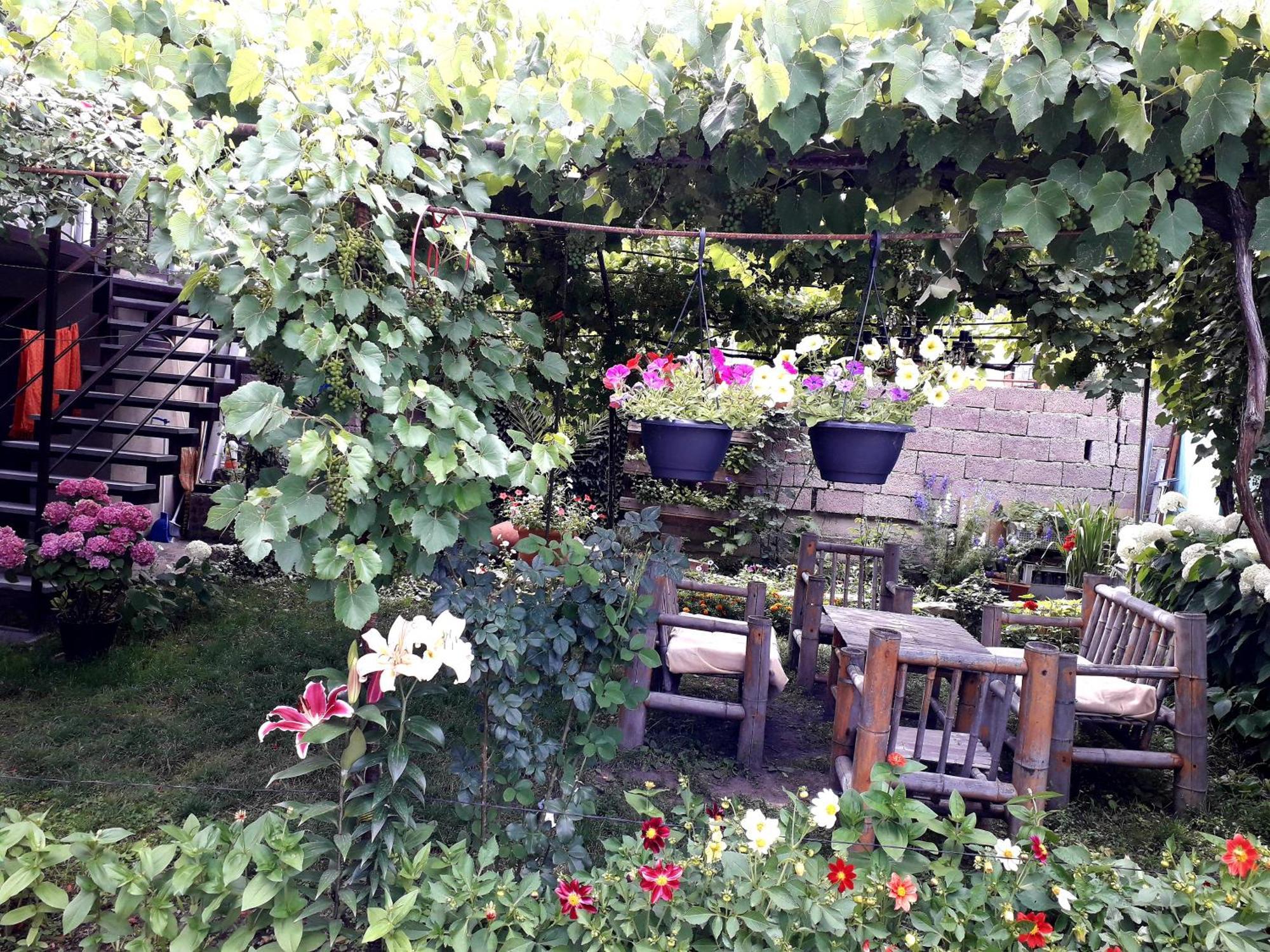 Holiday Home Bordjomi Extérieur photo
